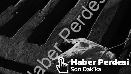 Eski Bilgeliğin Öğretileri: İnsanın Özüne Dair
